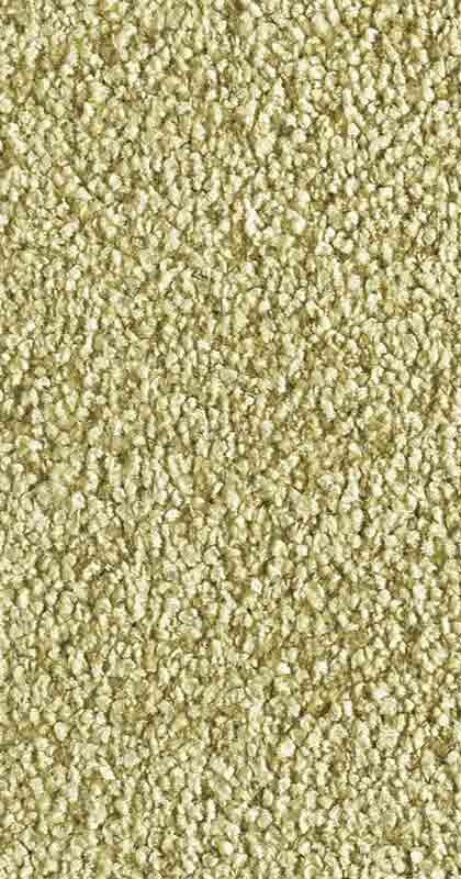 Penthouse Carpets